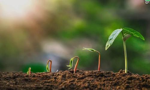 土壤環(huán)境監(jiān)測(cè)