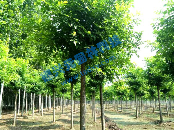 �c(di��n)���鿴Ԕ��(x��)��Ϣ��(bi��o)�}����Ϟ ��x�Δ�(sh��)��2308